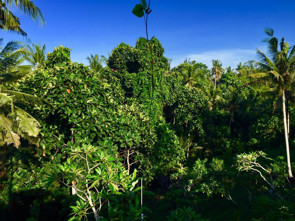 Tirta Arum Ubud Exteriör bild